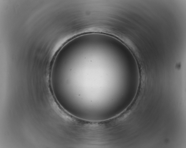 X0000112100896200908111415