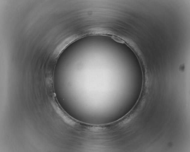 X0000112100897200908111415