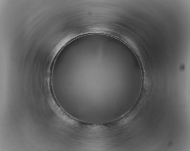 X0000112100899200908111415