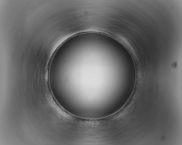 X0000112100900200908111415