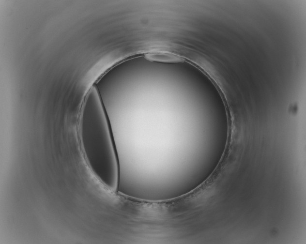 X0000112100901200908111415