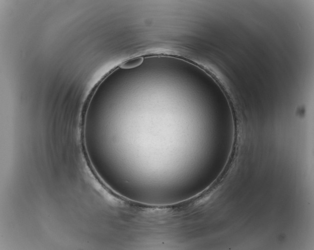 X0000112100902200908111415