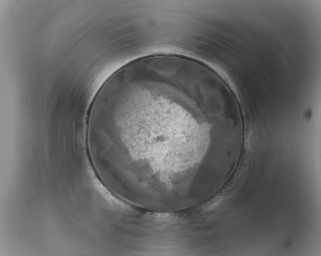 X0000112100903200908111415