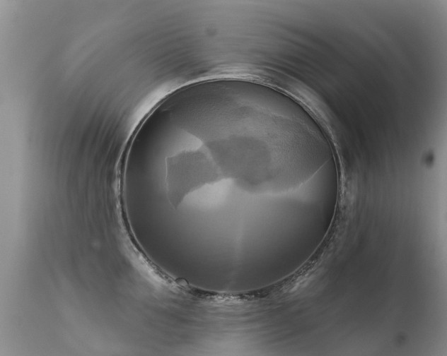 X0000112100907200908111414