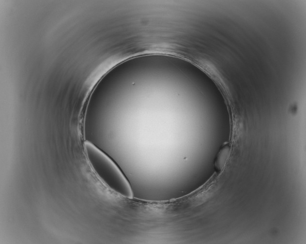 X0000112100908200908111414