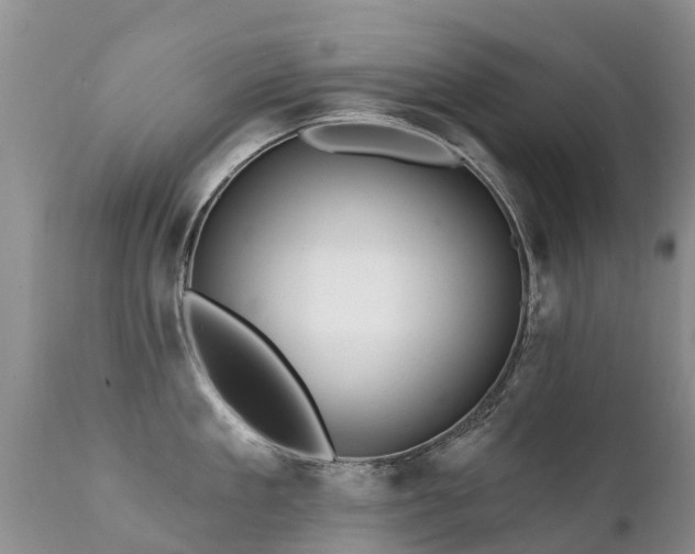 X0000112100909200908111414