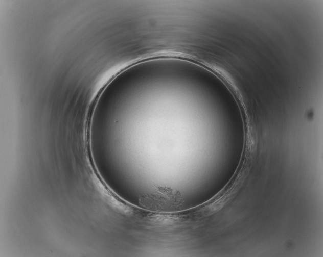 X0000112100910200908111414