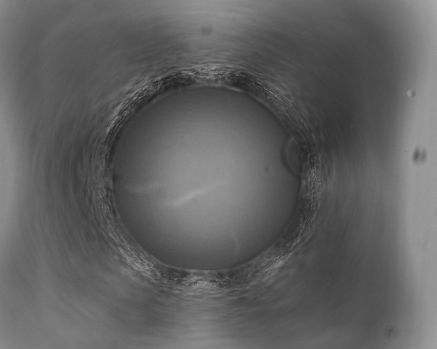 X0000112100913200908111414