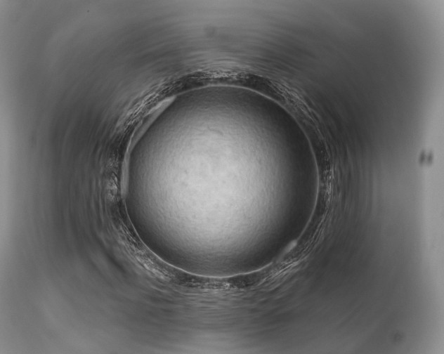 X0000112100916200908111414