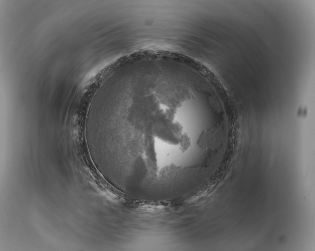 X0000112100919200908111414