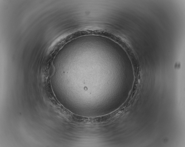 X0000112100920200908111414