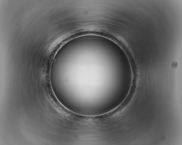 X0000112100922200908111414