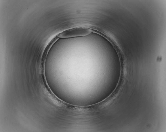 X0000112100924200908111414
