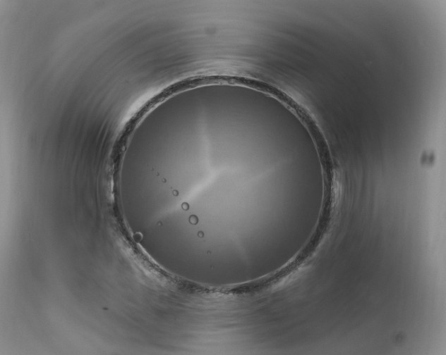 X0000112100925200908111414