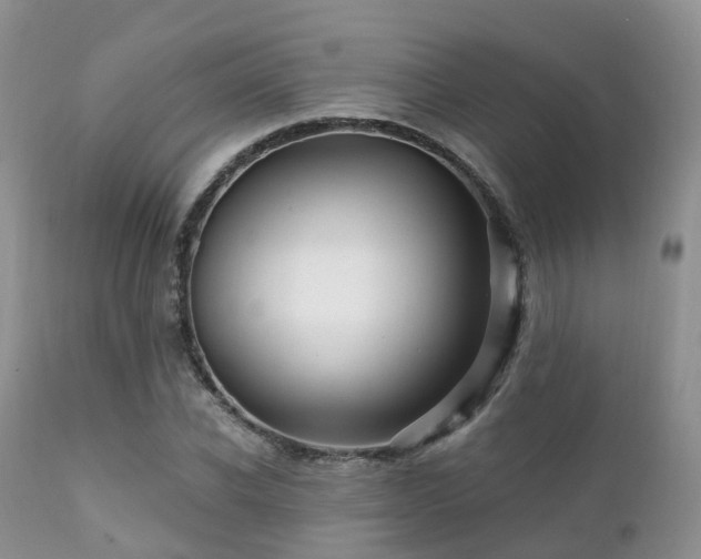 X0000112100926200908111414