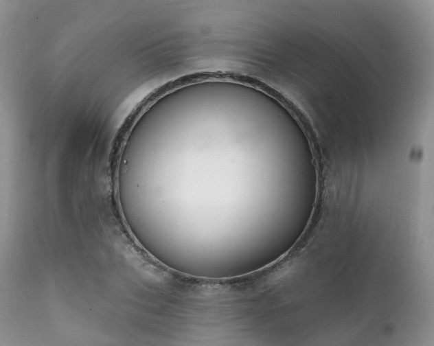 X0000112100927200908111414
