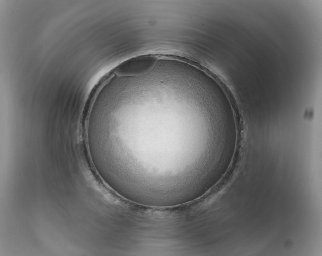 X0000112100928200908111414