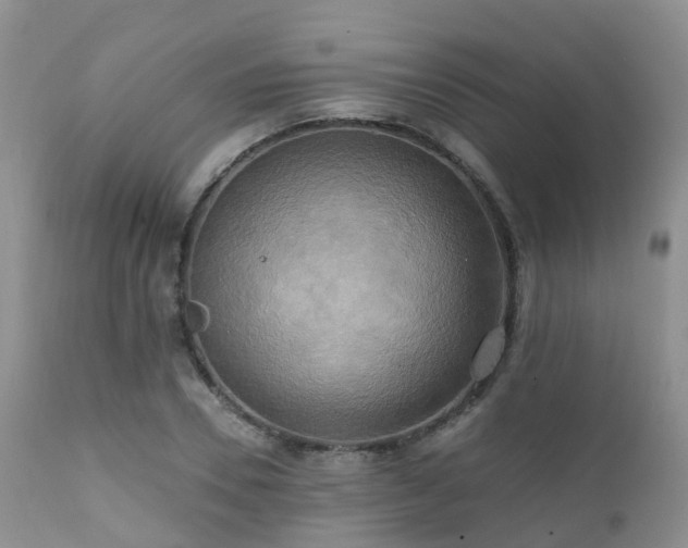 X0000112100930200908111414