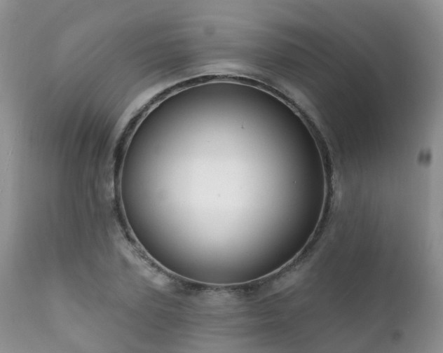 X0000112100931200908111414