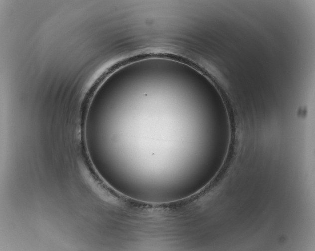 X0000112100934200908111414