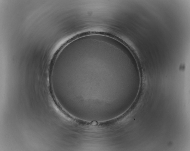 X0000112100935200908111414