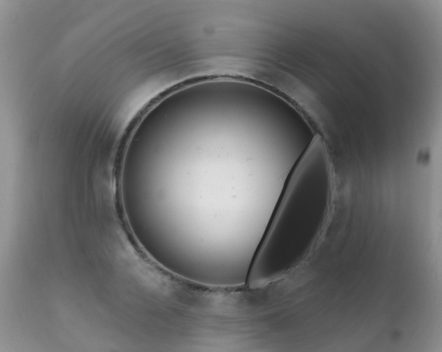 X0000112100936200908111414