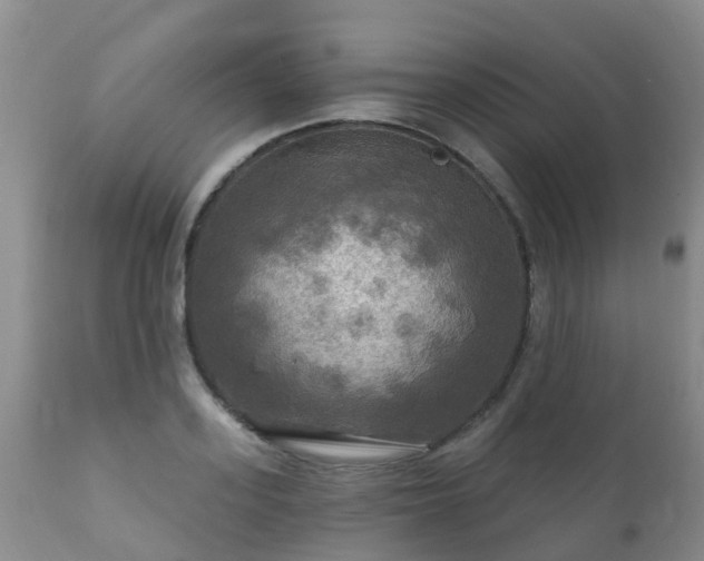 X0000112100939200908111414