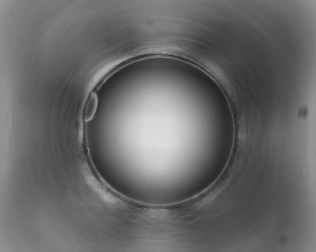 X0000112100940200908111414