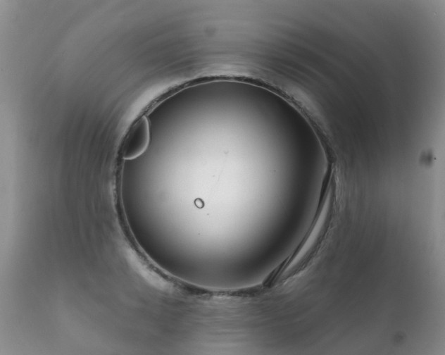 X0000112100942200908111414