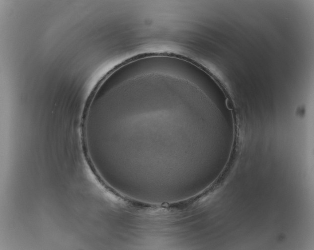 X0000112100943200908111414