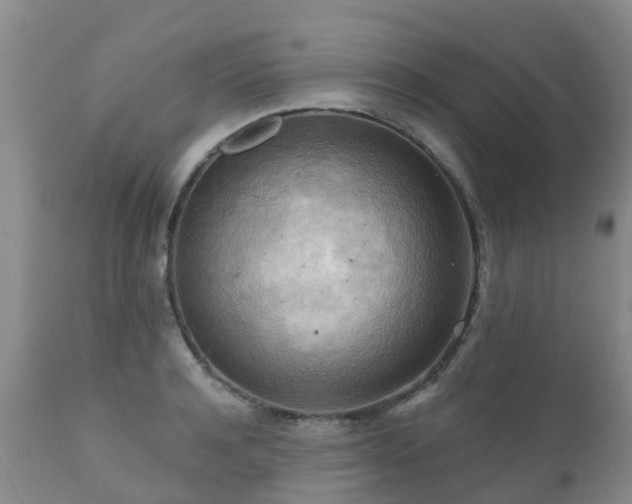 X0000112100944200908111414