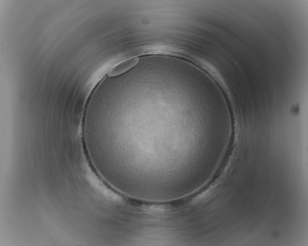 X0000112100946200908111414