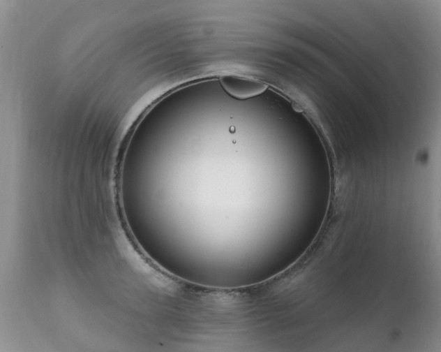 X0000112100947200908111414