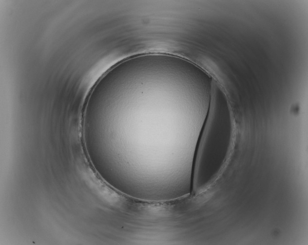 X0000112100948200908111414