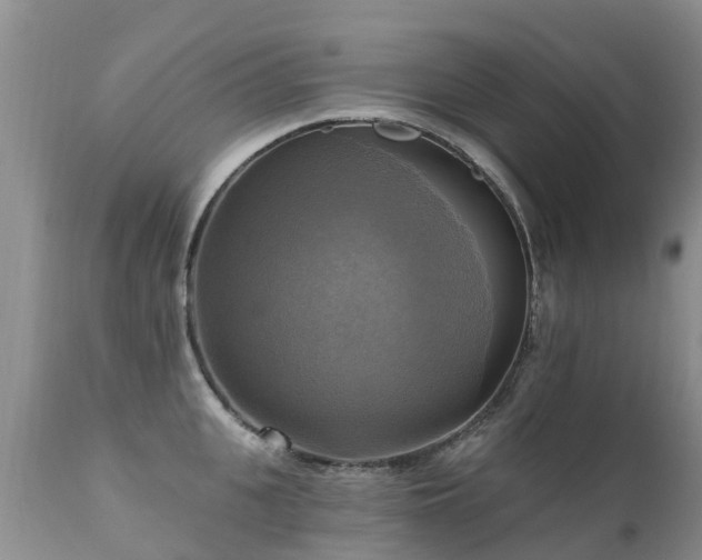 X0000112100951200908111414