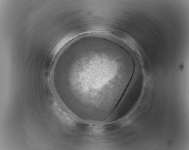 X0000112100952200908111414