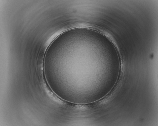 X0000112100954200908111414