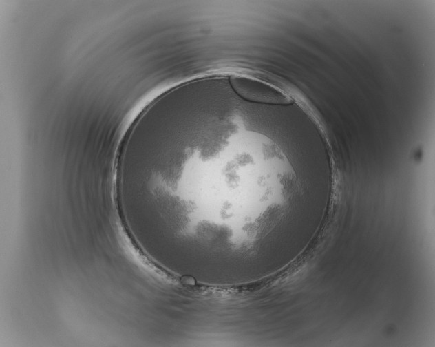 X0000112100955200908111414