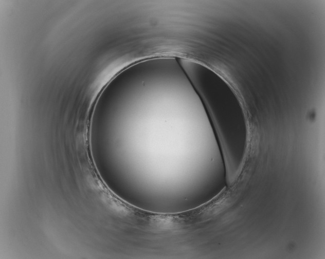 X0000112100956200908111414