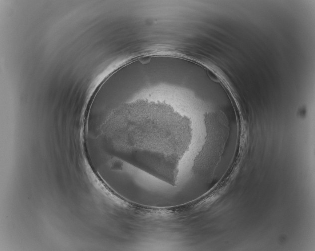 X0000112100957200908111414