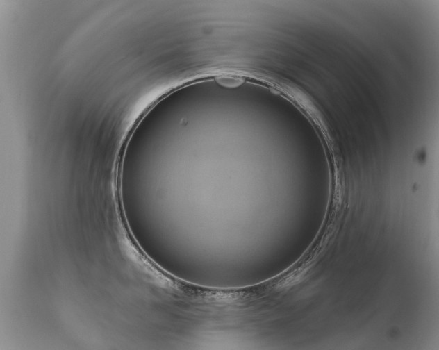 X0000112100958200908111414