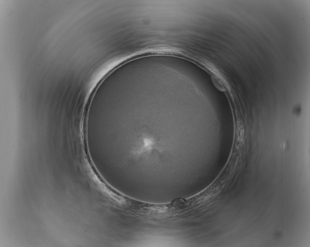X0000112100959200908111414
