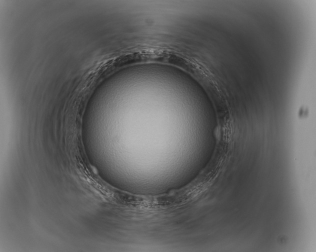 X0000112100961200908111414