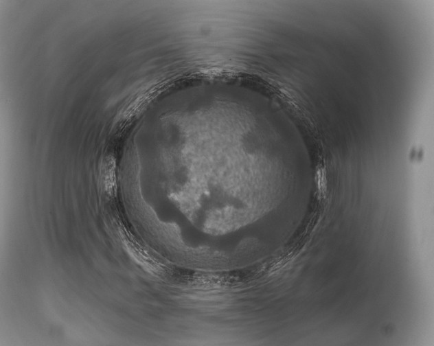 X0000112100963200908111414