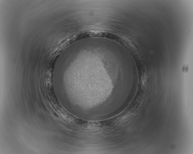 X0000112100964200908111414