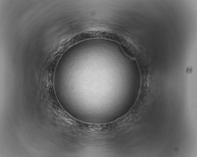 X0000112100965200908111414