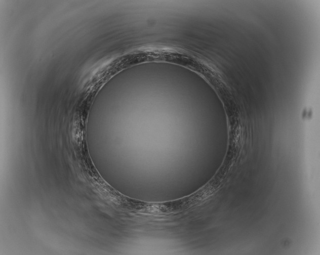 X0000112100966200908111414