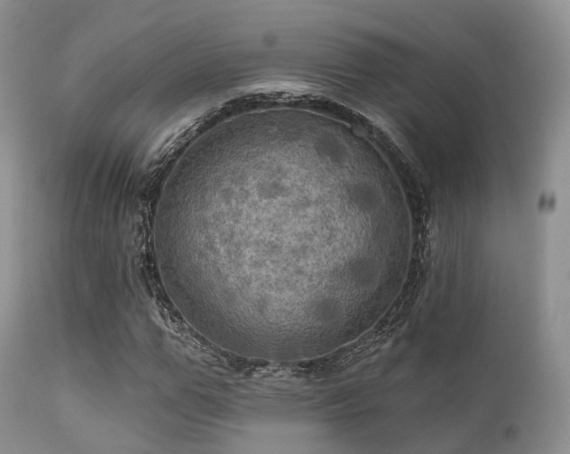X0000112100967200908111414