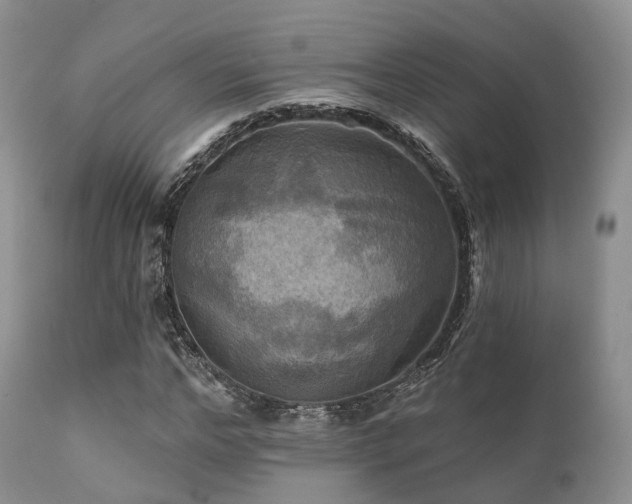 X0000112100968200908111414
