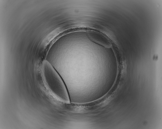 X0000112100969200908111414
